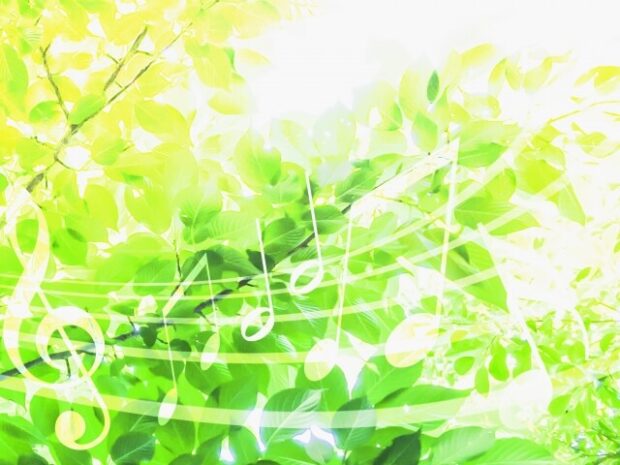 弩S級怪異"七尺くん"を家で飼うことになりましてを無料rawhitomi読みできるか音楽サロン A PIACERE in豊田が音楽調査